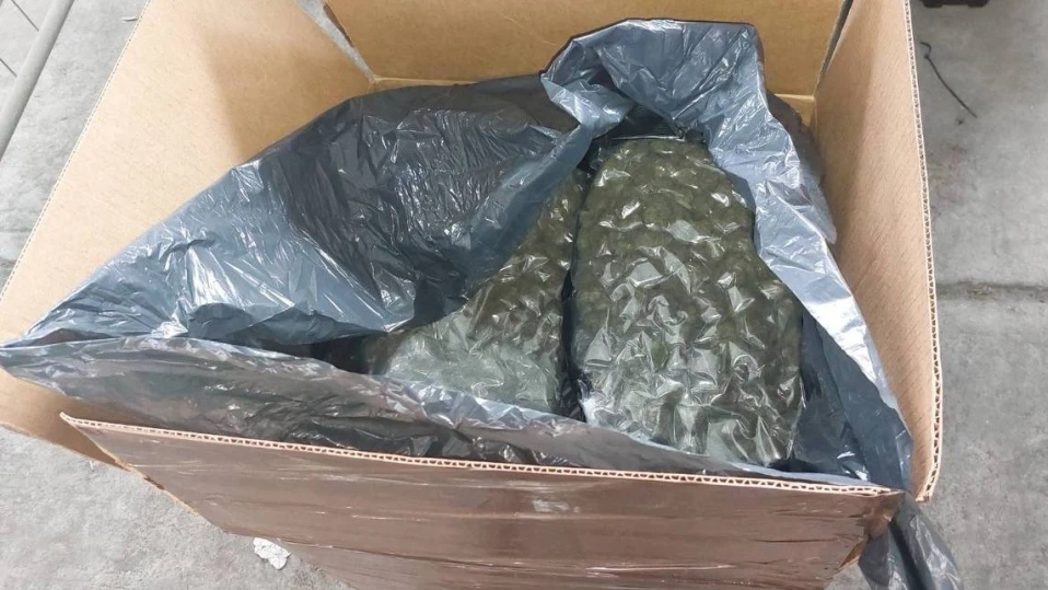 Пратка от 356 кг марихуана е задържана на "Митница София" (ВИДЕО)